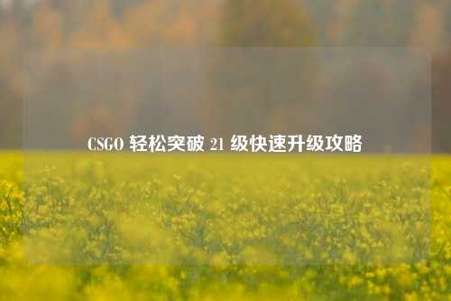 CSGO 轻松突破 21 级快速升级攻略