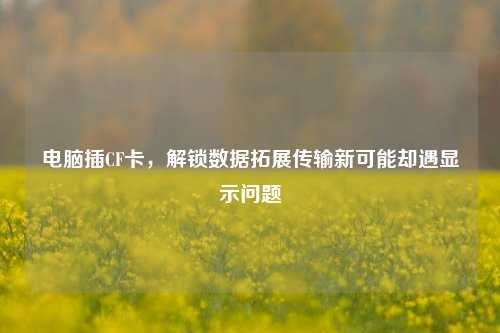 电脑插CF卡，解锁数据拓展传输新可能却遇显示问题
