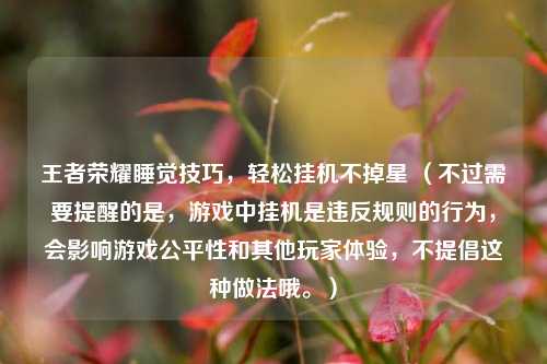 王者荣耀睡觉技巧，轻松挂机不掉星 （不过需要提醒的是，游戏中挂机是违反规则的行为，会影响游戏公平性和其他玩家体验，不提倡这种做法哦。）