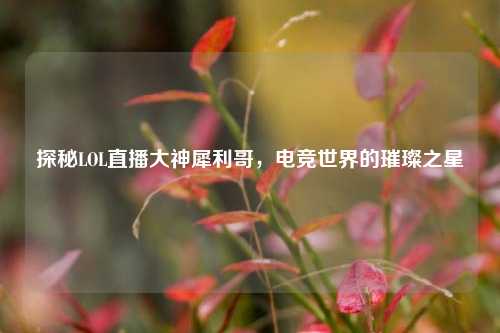 探秘LOL直播大神犀利哥，电竞世界的璀璨之星