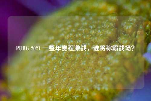 PUBG 2021 一整年赛程激战，谁将称霸战场？