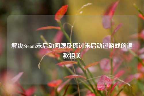解决Steam未启动问题及探讨未启动过游戏的退款相关