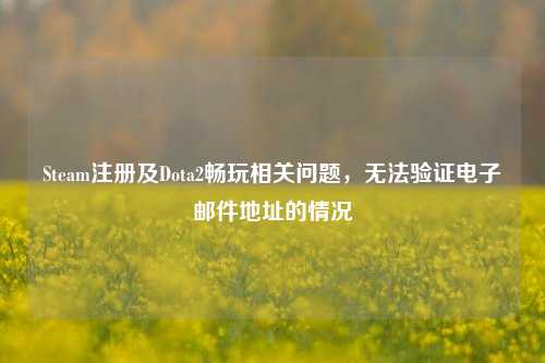 Steam注册及Dota2畅玩相关问题，无法验证电子邮件地址的情况
