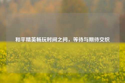 和平精英畅玩时间之问，等待与期待交织