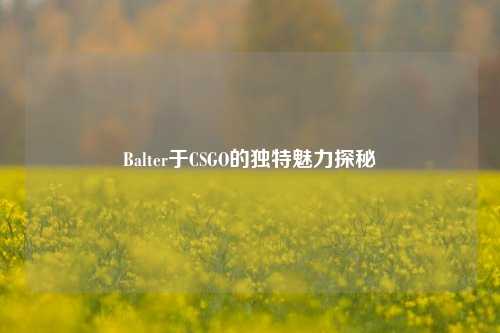 Balter于CSGO的独特魅力探秘