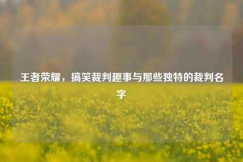 王者荣耀，搞笑裁判趣事与那些独特的裁判名字