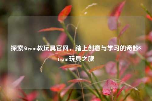 探索Steam教玩具官网，踏上创意与学习的奇妙Steam玩具之旅