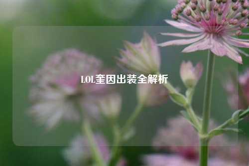 LOL奎因出装全解析