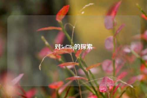 对5cf78q的探索