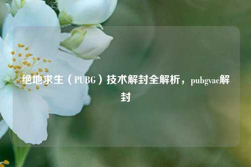 绝地求生（PUBG）技术解封全解析，pubgvac解封