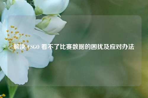 解决 CSGO 看不了比赛数据的困扰及应对办法