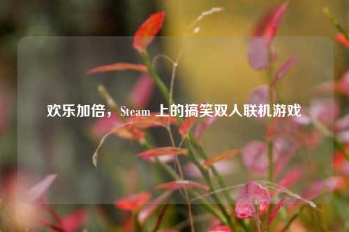 欢乐加倍，Steam 上的搞笑双人联机游戏