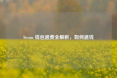 Steam 钱包退费全解析，如何退钱