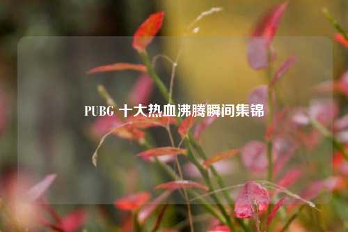 PUBG 十大热血沸腾瞬间集锦
