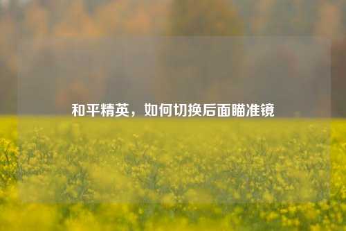 和平精英，如何切换后面瞄准镜