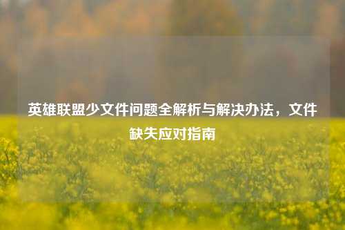 英雄联盟少文件问题全解析与解决办法，文件缺失应对指南