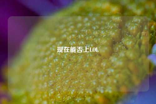 现在能否上LOL