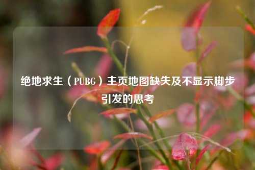 绝地求生（PUBG）主页地图缺失及不显示脚步引发的思考