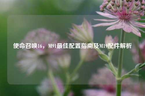 使命召唤16，M91最佳配置指南及M19配件解析