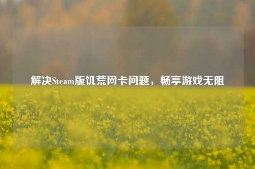 解决Steam版饥荒网卡问题，畅享游戏无阻
