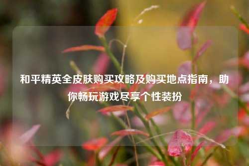 和平精英全皮肤购买攻略及购买地点指南，助你畅玩游戏尽享个性装扮