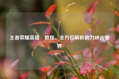 王者荣耀英雄暃教程，全方位解析助力峡谷驰骋