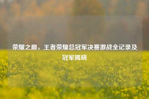荣耀之巅，王者荣耀总冠军决赛激战全记录及冠军揭晓