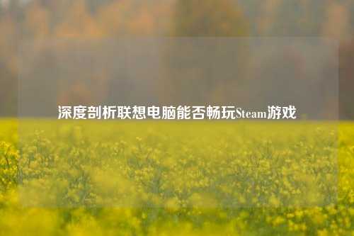 深度剖析联想电脑能否畅玩Steam游戏
