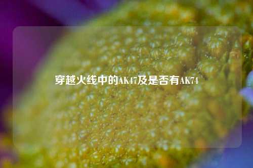 穿越火线中的AK47及是否有AK74