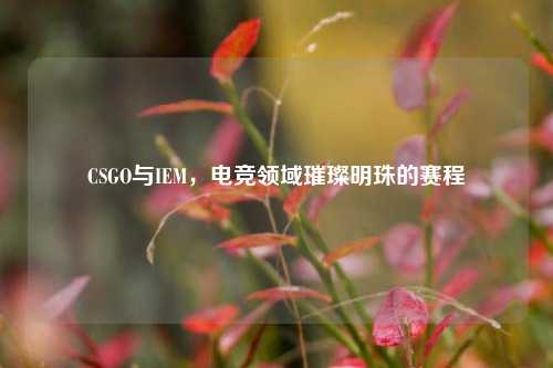 CSGO与IEM，电竞领域璀璨明珠的赛程