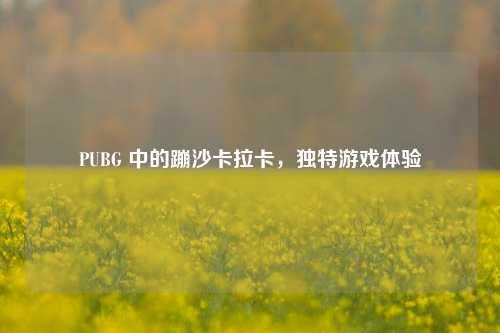 PUBG 中的蹦沙卡拉卡，独特游戏体验