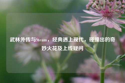 武林外传与Steam，经典遇上现代，碰撞出的奇妙火花及上线疑问