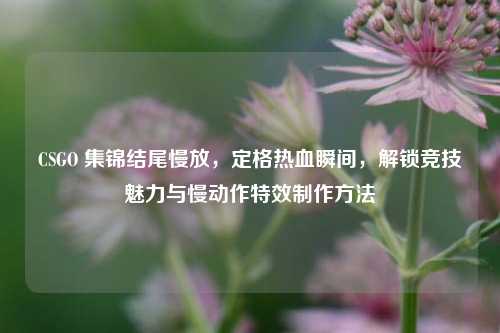 CSGO 集锦结尾慢放，定格热血瞬间，解锁竞技魅力与慢动作特效制作方法