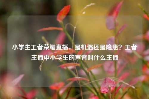 小学生王者荣耀直播，是机遇还是隐患？王者主播中小学生的声音叫什么主播