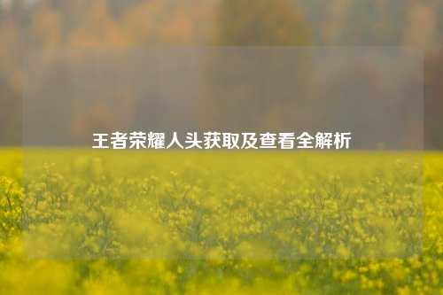 王者荣耀人头获取及查看全解析