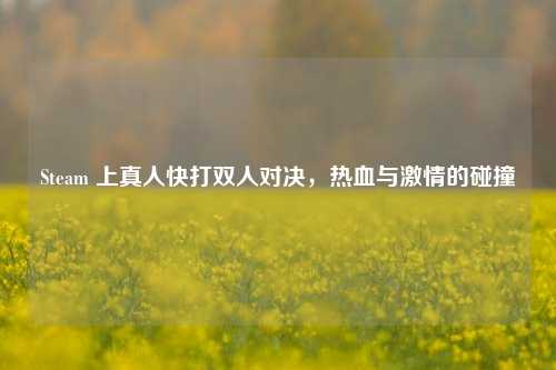 Steam 上真人快打双人对决，热血与激情的碰撞
