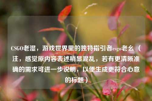 CSGO老湿，游戏世界里的独特指引者csgo老幺 （注，感觉原内容表述稍显混乱，若有更清晰准确的需求可进一步说明，以便生成更符合心意的标题）