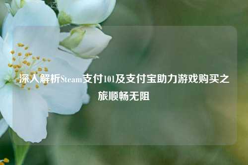深入解析Steam支付101及支付宝助力游戏购买之旅顺畅无阻