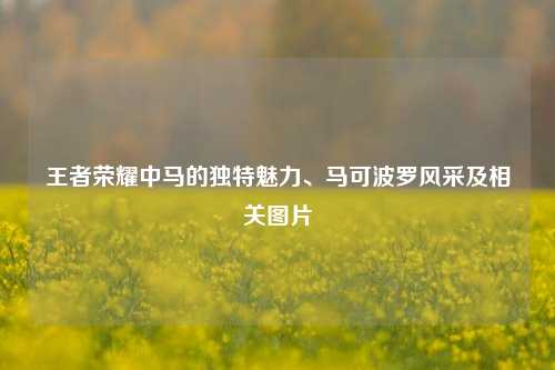 王者荣耀中马的独特魅力、马可波罗风采及相关图片