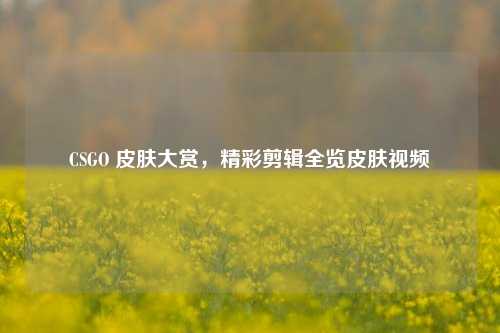 CSGO 皮肤大赏，精彩剪辑全览皮肤视频