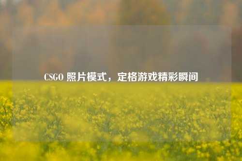 CSGO 照片模式，定格游戏精彩瞬间