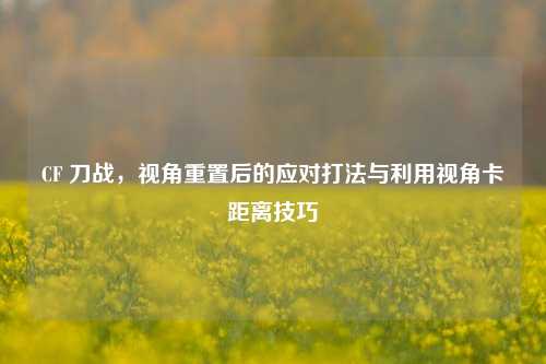CF 刀战,视角重置后的应对打法与利用视角卡距离技巧
