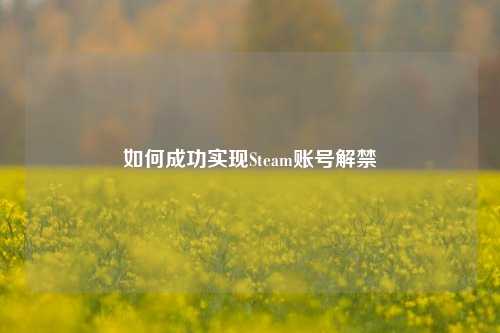 如何成功实现Steam账号解禁