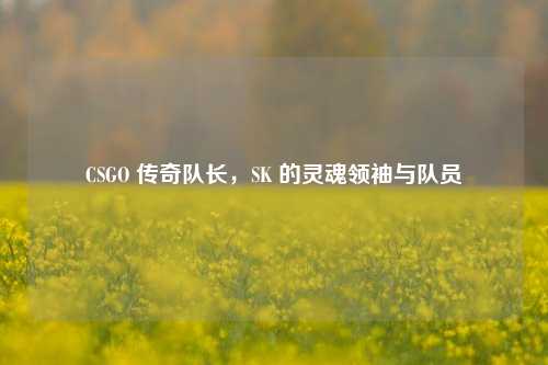 CSGO 传奇队长，SK 的灵魂领袖与队员