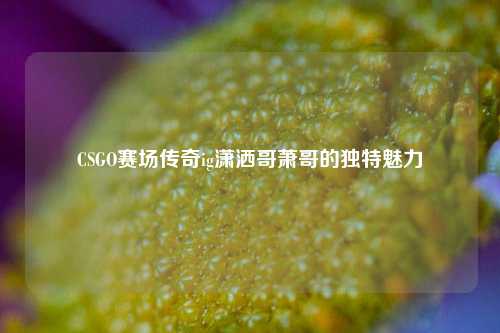 CSGO赛场传奇ig潇洒哥萧哥的独特魅力