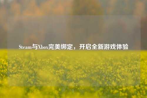 Steam与Xbox完美绑定,开启全新游戏体验
