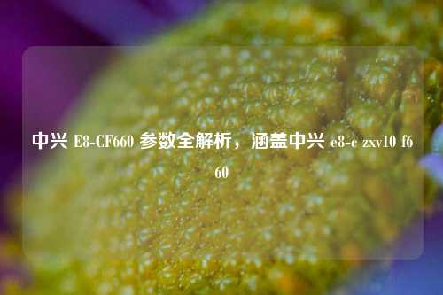 中兴 E8-CF660 参数全解析，涵盖中兴 e8-c zxv10 f660