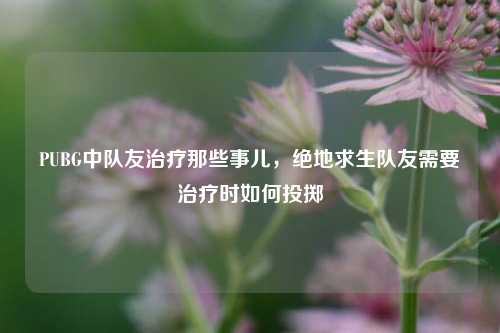 PUBG中队友治疗那些事儿,绝地求生队友需要治疗时如何投掷