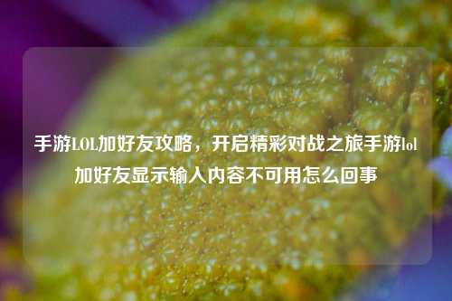 手游LOL加好友攻略，开启精彩对战之旅手游lol加好友显示输入内容不可用怎么回事