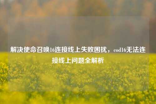 解决使命召唤16连接线上失败困扰，cod16无法连接线上问题全解析